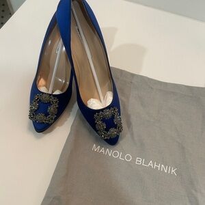 Manolo Blahnik Blue Hangisi Heel